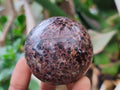 Polished Garnet Spheres x 6 From Mahajanga, Madagascar