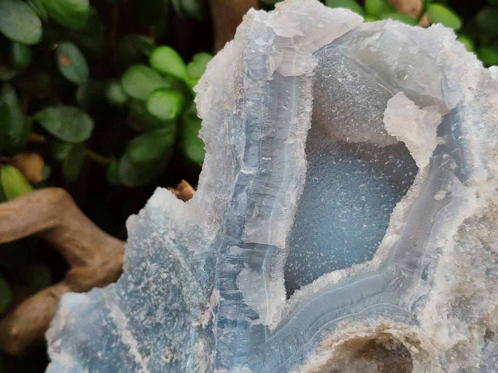 Natural Etched Blue Chalcedony Geode x 1 From Nsanje, Malawi