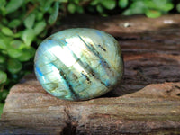Polished Labradorite Galets x 20 From Tulear, Madagascar