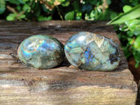 Polished Labradorite Galets x 20 From Tulear, Madagascar
