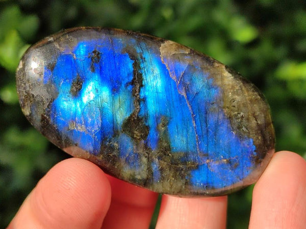 Polished Labradorite Galets x 20 From Tulear, Madagascar
