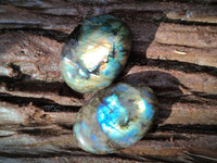 Polished Labradorite Galets x 20 From Tulear, Madagascar