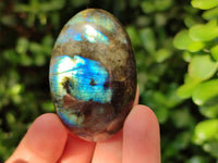 Polished Labradorite Galets x 20 From Tulear, Madagascar