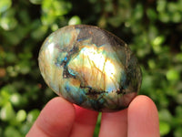Polished Labradorite Galets x 20 From Tulear, Madagascar
