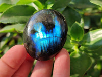 Polished Labradorite Galets x 20 From Tulear, Madagascar