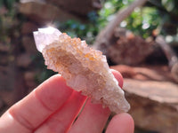 Natural Amethyst Spirit Crystals x 70 From Boekenhouthoek, South Africa