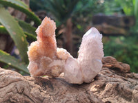 Natural Amethyst Spirit Crystals x 70 From Boekenhouthoek, South Africa