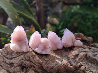 Natural Amethyst Spirit Crystals x 70 From Boekenhouthoek, South Africa