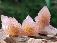 Natural Amethyst Spirit Crystals x 70 From Boekenhouthoek, South Africa