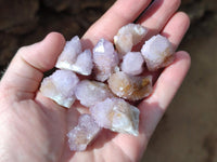 Natural Amethyst Spirit Crystals x 70 From Boekenhouthoek, South Africa