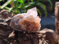 Natural Amethyst Spirit Crystals x 70 From Boekenhouthoek, South Africa