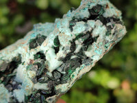 Natural Drusy Coated Chrysocolla With Prismatic Malachite Specimens x 6 From Lupoto Mine, Congo