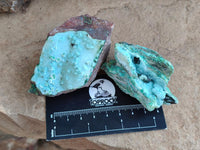 Natural Drusy Coated Chrysocolla With Prismatic Malachite Specimens x 6 From Lupoto Mine, Congo