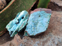 Natural Drusy Coated Chrysocolla With Prismatic Malachite Specimens x 6 From Lupoto Mine, Congo