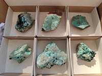 Natural Drusy Coated Chrysocolla With Prismatic Malachite Specimens x 6 From Lupoto Mine, Congo