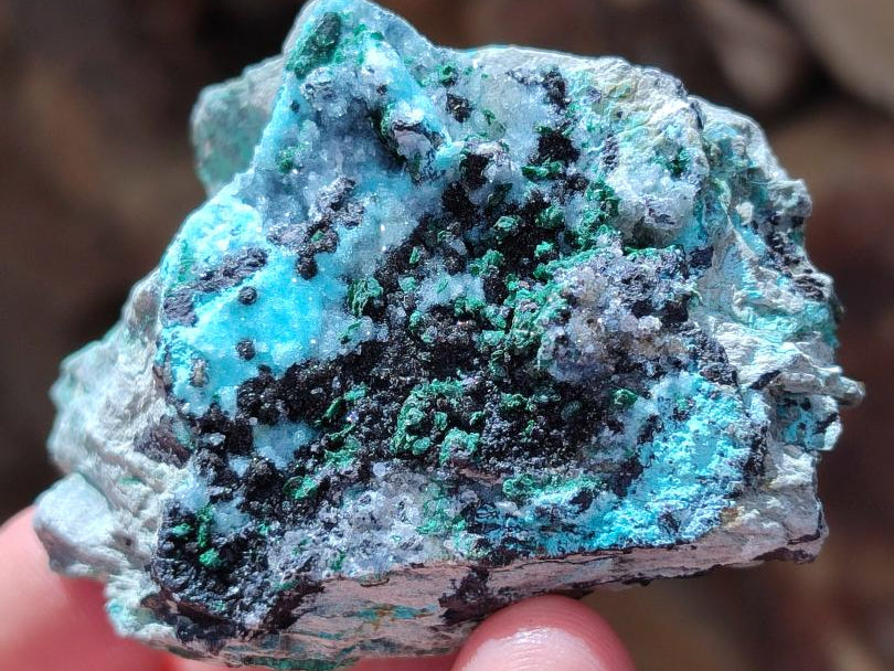 Natural Drusy Coated Chrysocolla With Prismatic Malachite Specimens x 6 From Lupoto Mine, Congo