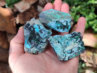 Natural Drusy Coated Chrysocolla With Prismatic Malachite Specimens x 6 From Lupoto Mine, Congo