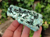 Natural Drusy Coated Chrysocolla With Prismatic Malachite Specimens x 6 From Lupoto Mine, Congo
