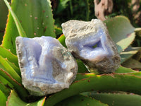 Natural Blue Lace Agate Geode Specimens x 12 From Nsanje, Malawi