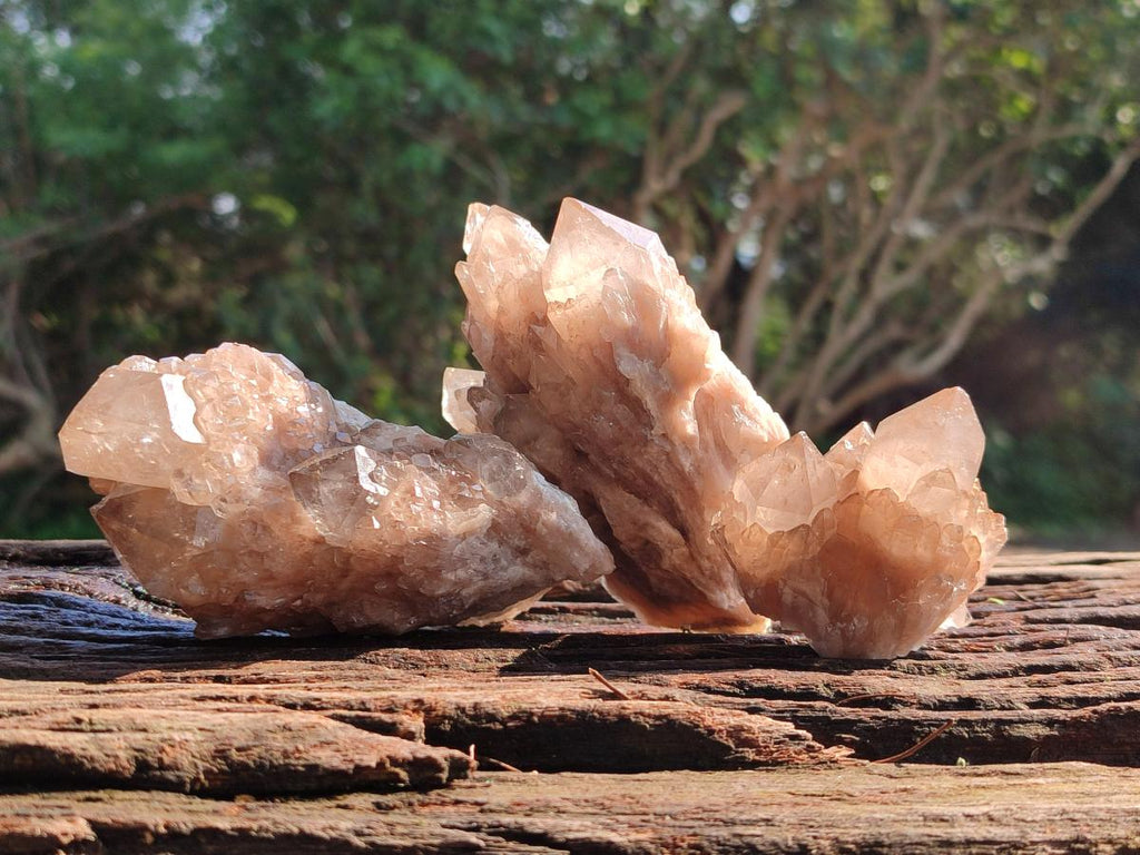 Natural Smokey Phantom Quartz Clusters x 6 From Luena, Congo