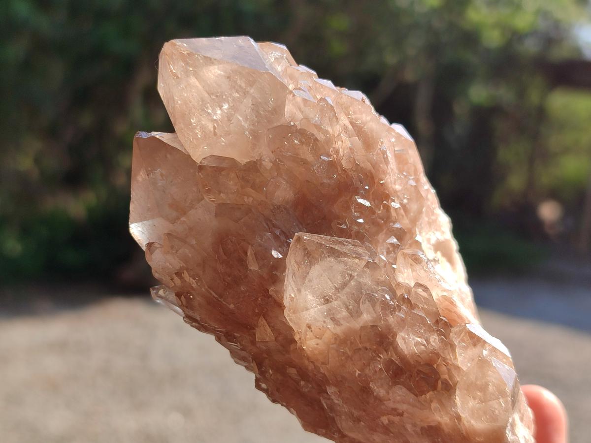Natural Smokey Phantom Quartz Clusters x 6 From Luena, Congo