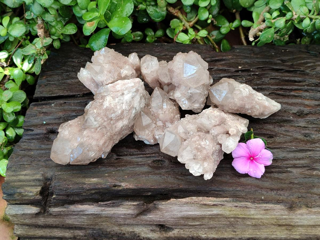 Natural Smokey Phantom Quartz Clusters x 6 From Luena, Congo