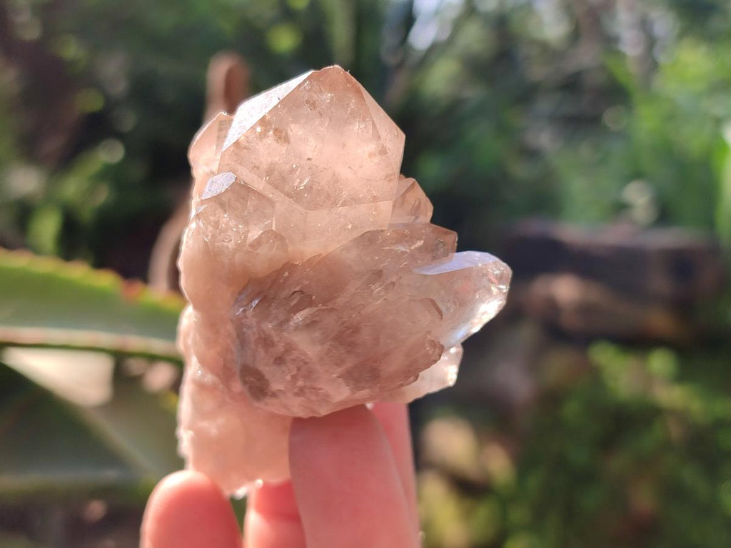 Natural Smokey Phantom Quartz Clusters x 6 From Luena, Congo