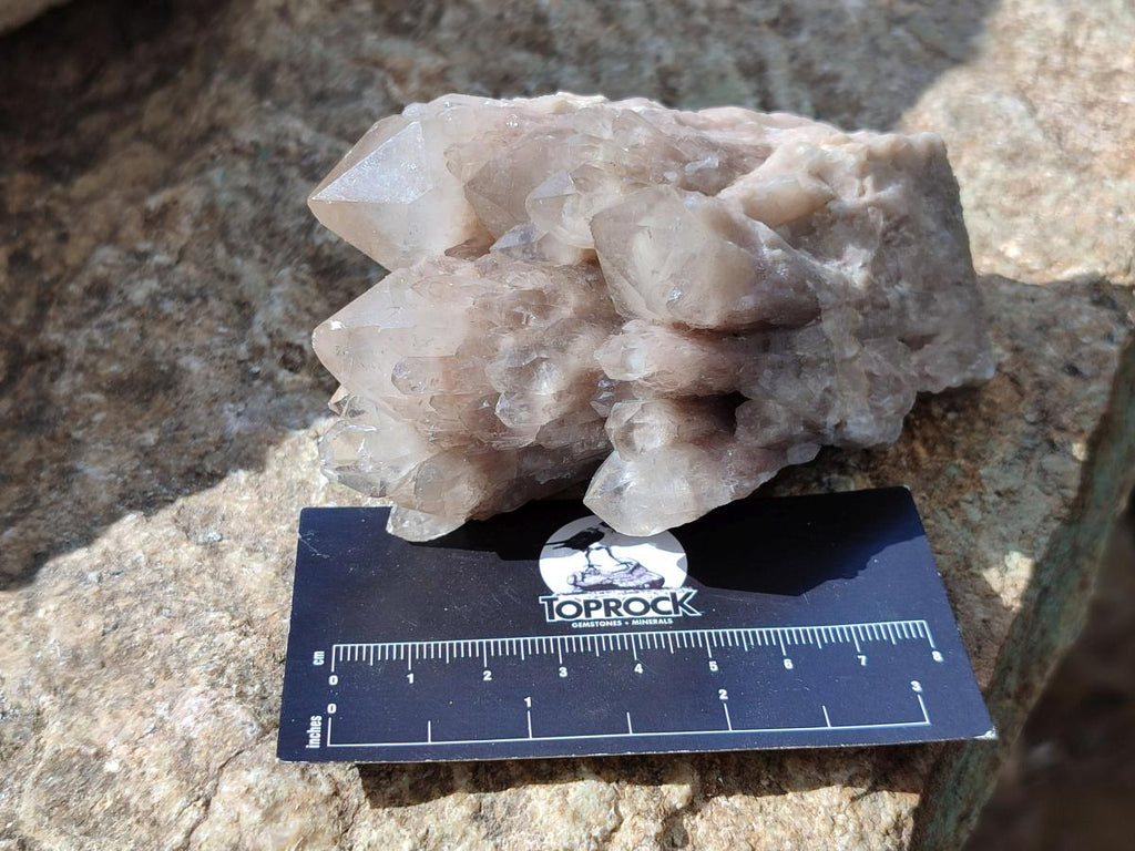 Natural Smokey Phantom Quartz Clusters x 6 From Luena, Congo