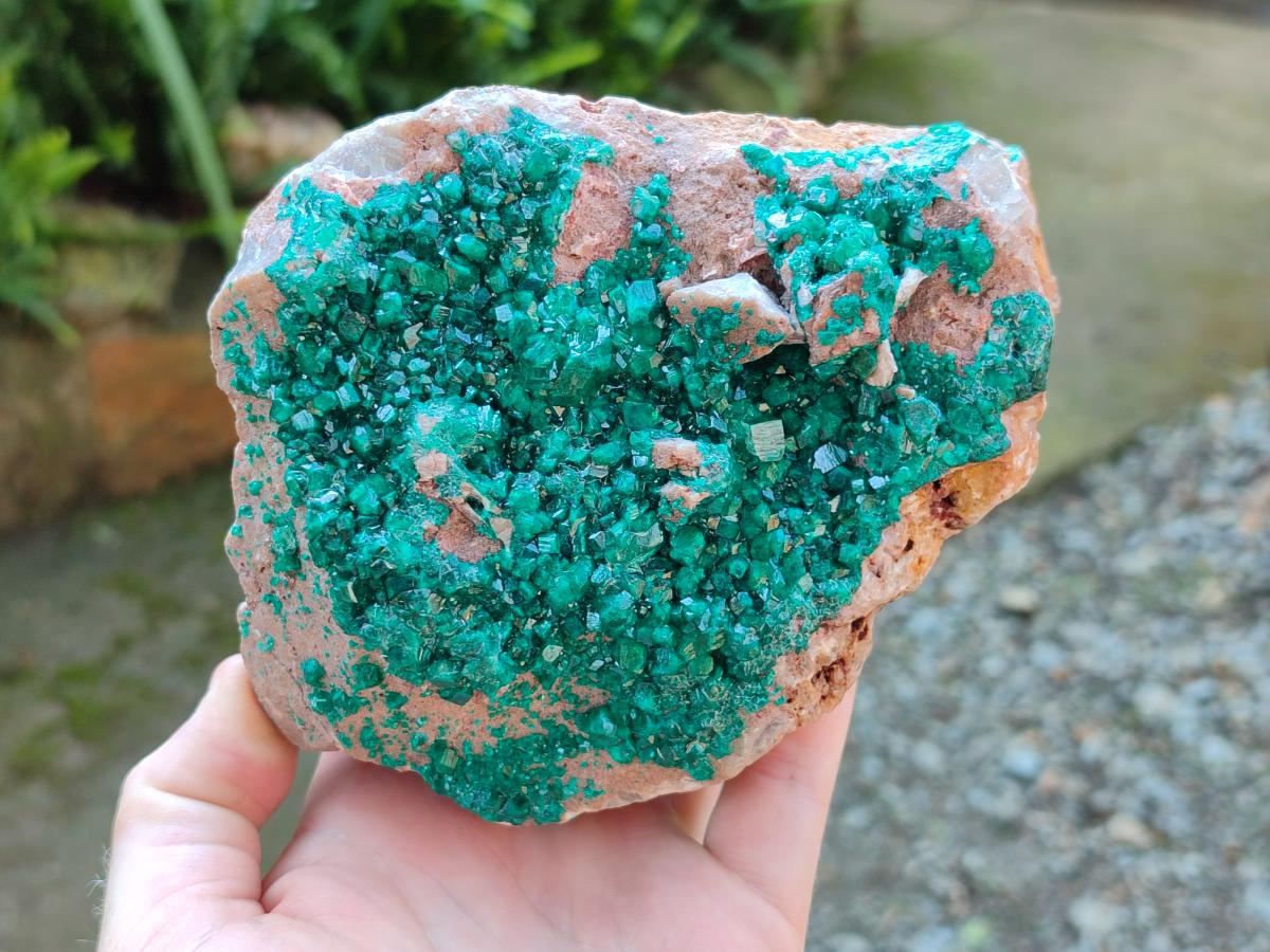 Natural Dioptase On Dolomite Specimen x 1 From Likasi, Congo
