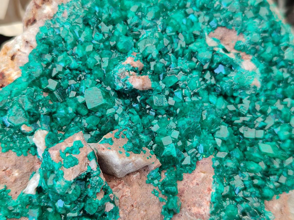 Natural Dioptase On Dolomite Specimen x 1 From Likasi, Congo
