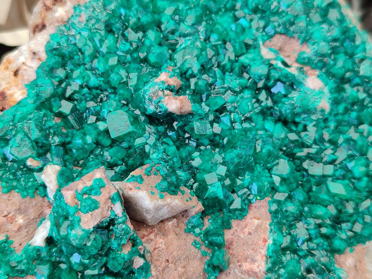 Natural Dioptase On Dolomite Specimen x 1 From Likasi, Congo