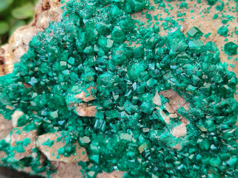 Natural Dioptase On Dolomite Specimen x 1 From Likasi, Congo - Toprock Gemstones and Minerals 