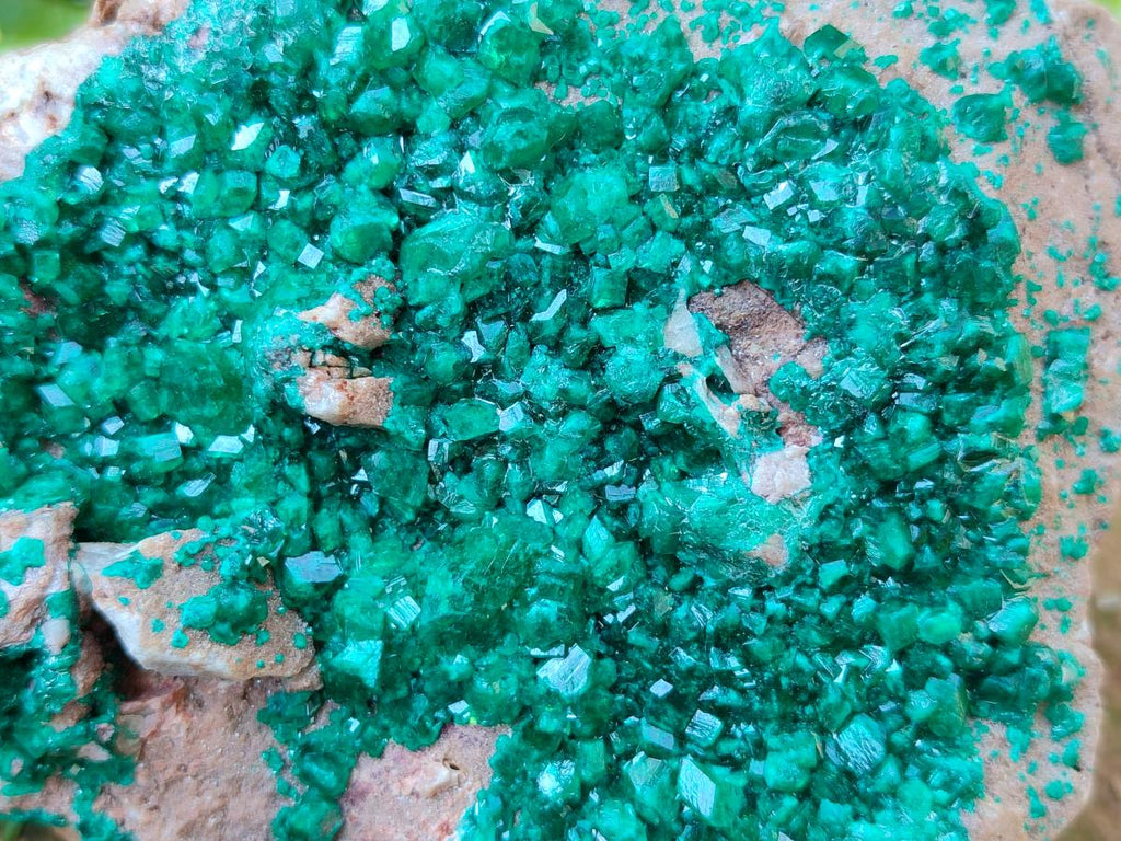 Natural Dioptase On Dolomite Specimen x 1 From Likasi, Congo