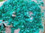 Natural Dioptase On Dolomite Specimen x 1 From Likasi, Congo