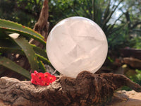 Polished XL Pearl Girasol Quartz Sphere x 1 From Ambatondrazaka, Madagascar