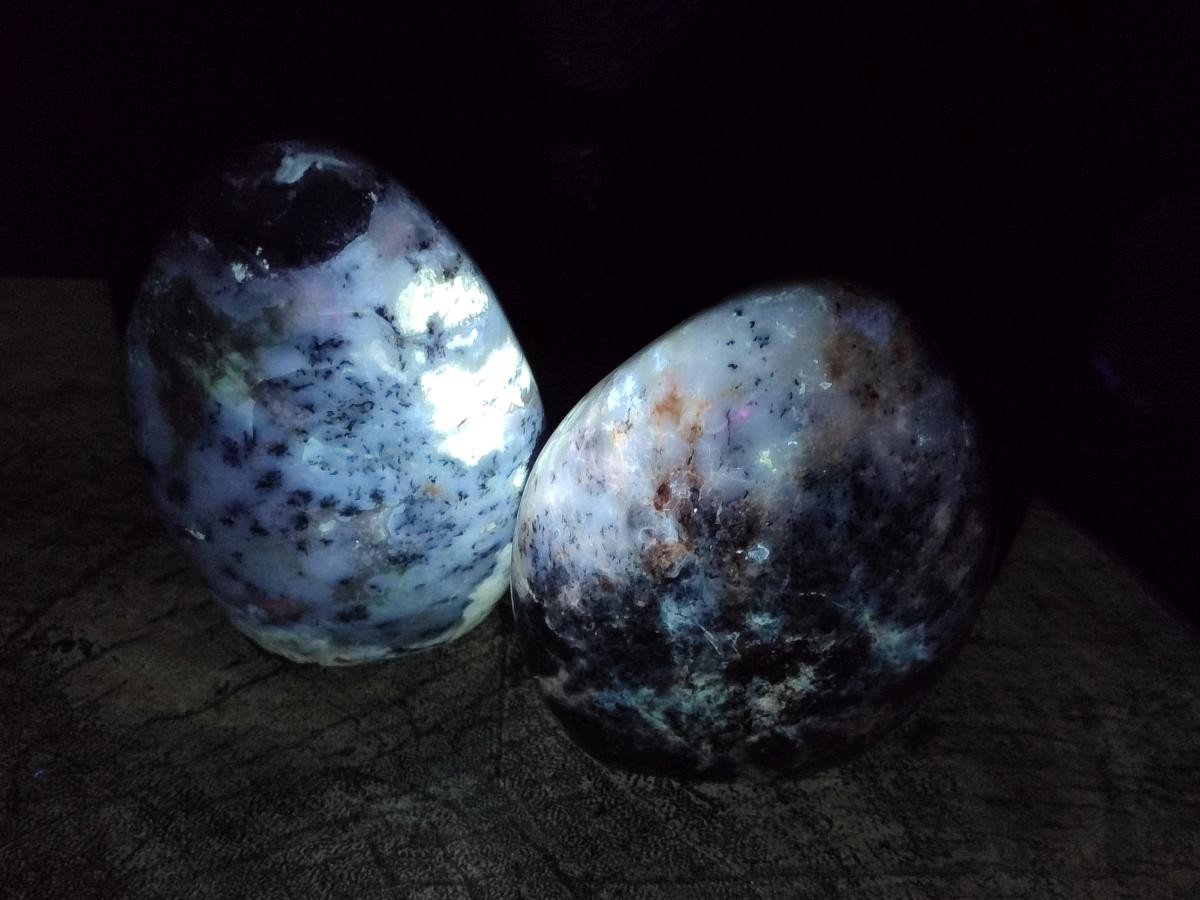 Polished Dendritic Opal Standing Free Forms x 4 From Moralambo, Madagascar