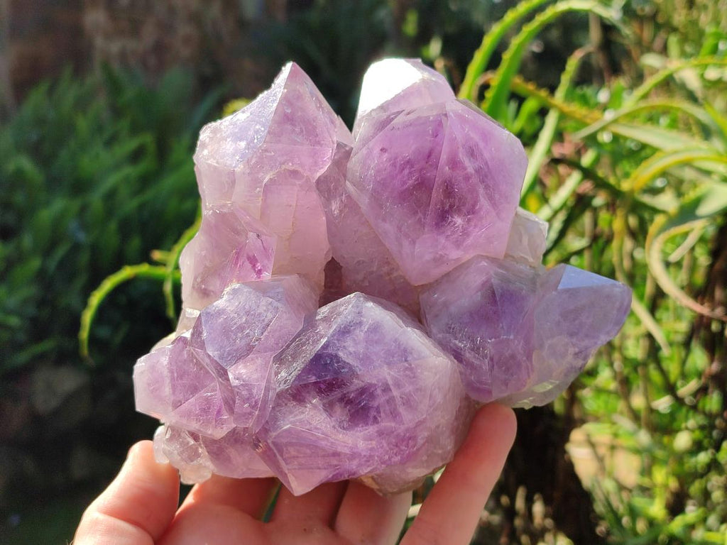 Natural Jacaranda Amethyst Quartz Crystal Clusters x 2 From Mumbwa, Zambia - Toprock Gemstones and Minerals 