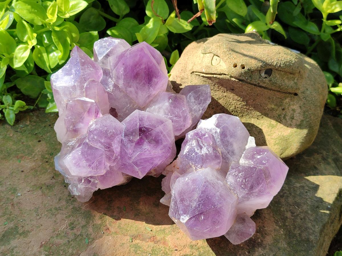 Natural Jacaranda Amethyst Quartz Crystal Clusters x 2 From Mumbwa, Zambia - Toprock Gemstones and Minerals 