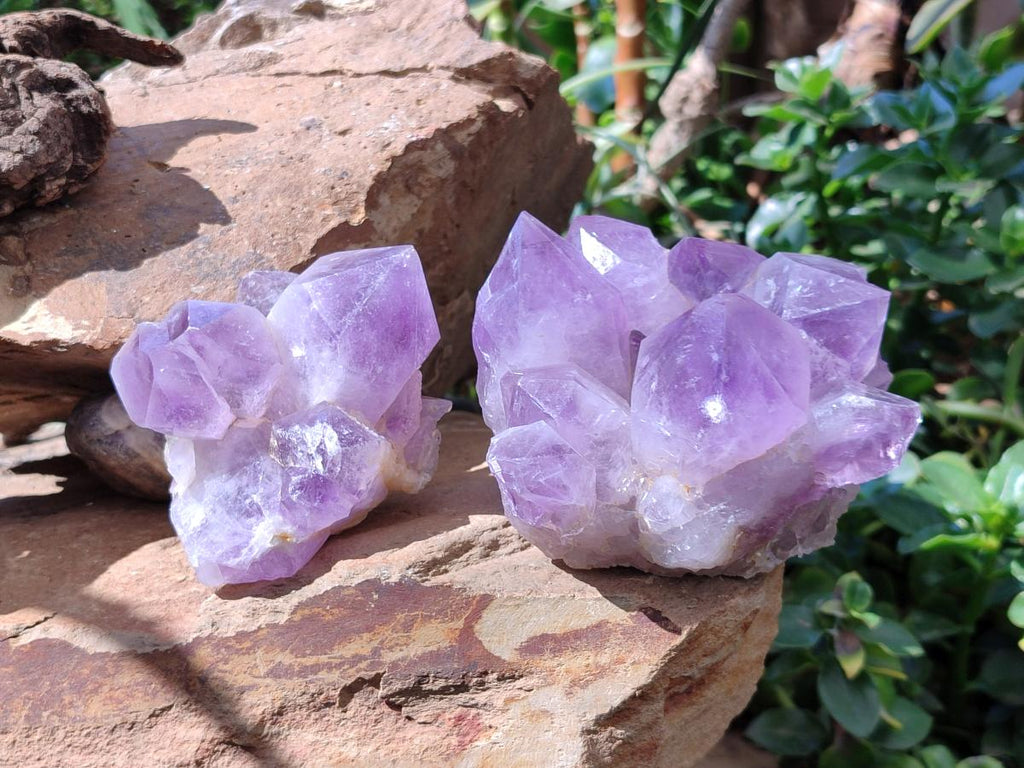 Natural Jacaranda Amethyst Quartz Crystal Clusters x 2 From Mumbwa, Zambia - Toprock Gemstones and Minerals 