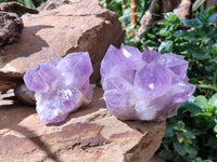Natural Jacaranda Amethyst Quartz Crystal Clusters x 2 From Mumbwa, Zambia