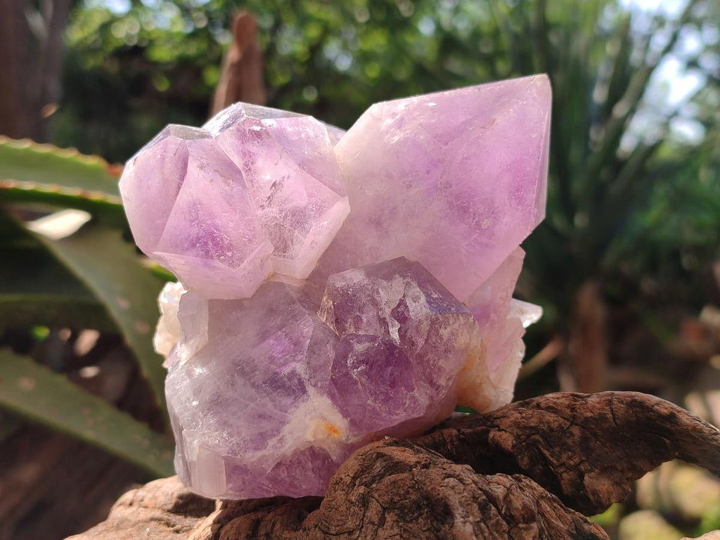 Natural Jacaranda Amethyst Quartz Crystal Clusters x 2 From Mumbwa, Zambia - Toprock Gemstones and Minerals 