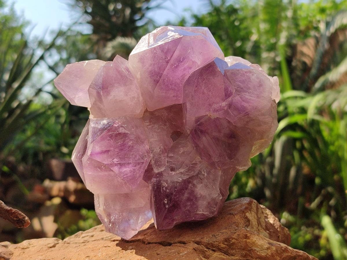 Natural Jacaranda Amethyst Quartz Crystal Clusters x 2 From Mumbwa, Zambia - Toprock Gemstones and Minerals 