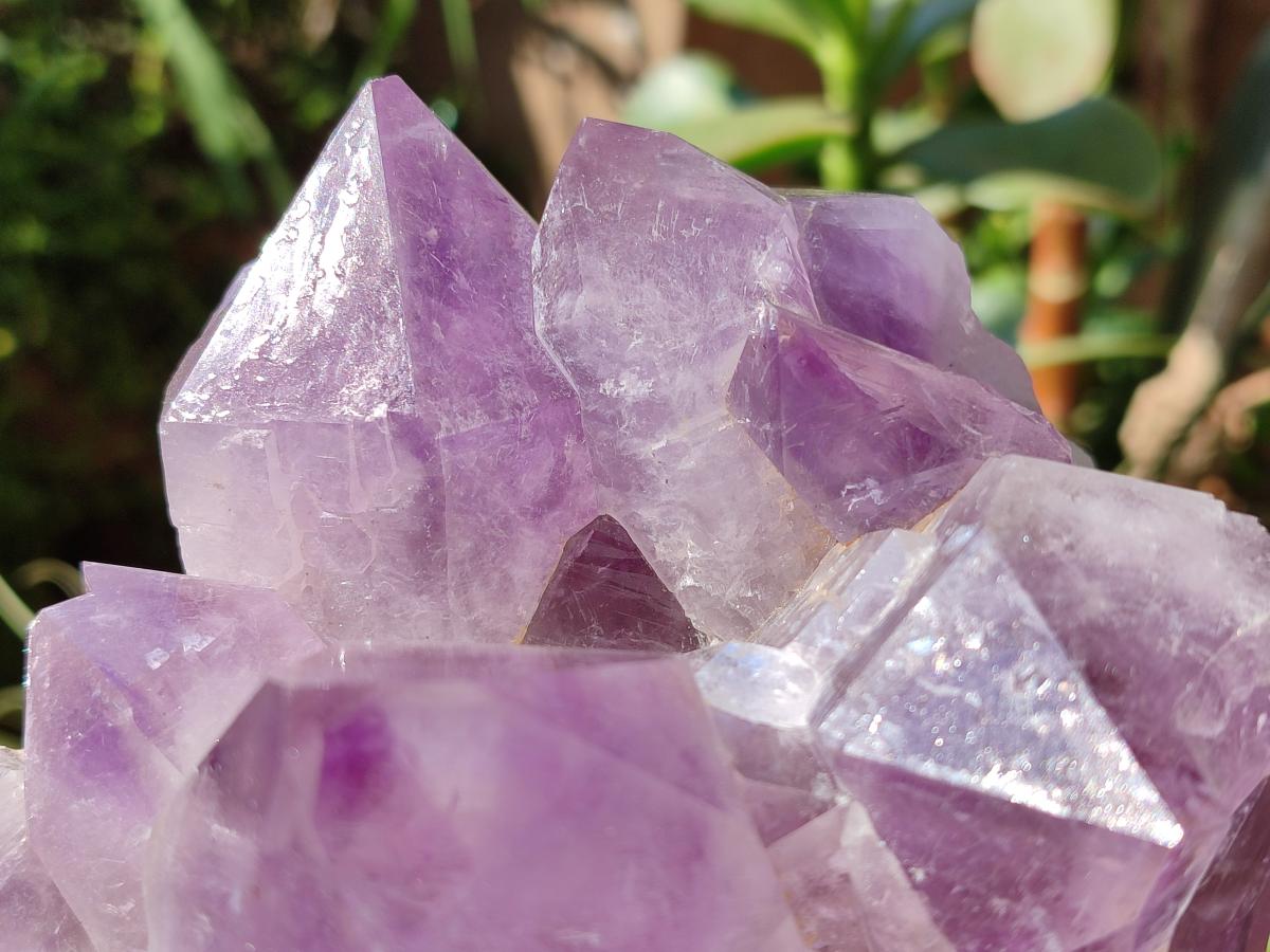 Natural Jacaranda Amethyst Quartz Crystal Clusters x 2 From Mumbwa, Zambia - Toprock Gemstones and Minerals 