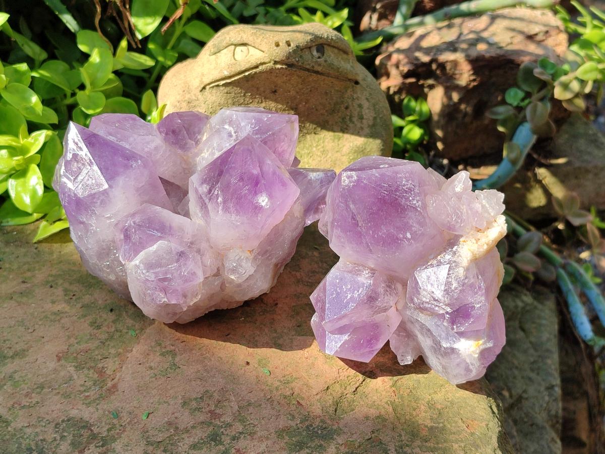 Natural Jacaranda Amethyst Quartz Crystal Clusters x 2 From Mumbwa, Zambia - Toprock Gemstones and Minerals 