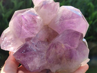 Natural Jacaranda Amethyst Quartz Crystal Clusters x 2 From Mumbwa, Zambia