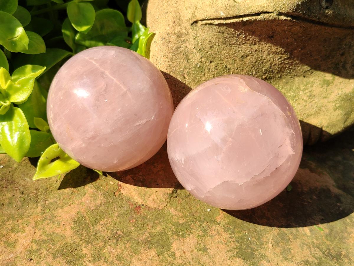 Polished Star Rose Quartz Spheres x 3 From Madagascar