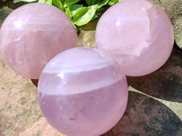 Polished Star Rose Quartz Spheres x 3 From Madagascar