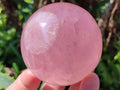 Polished Star Rose Quartz Spheres x 3 From Madagascar