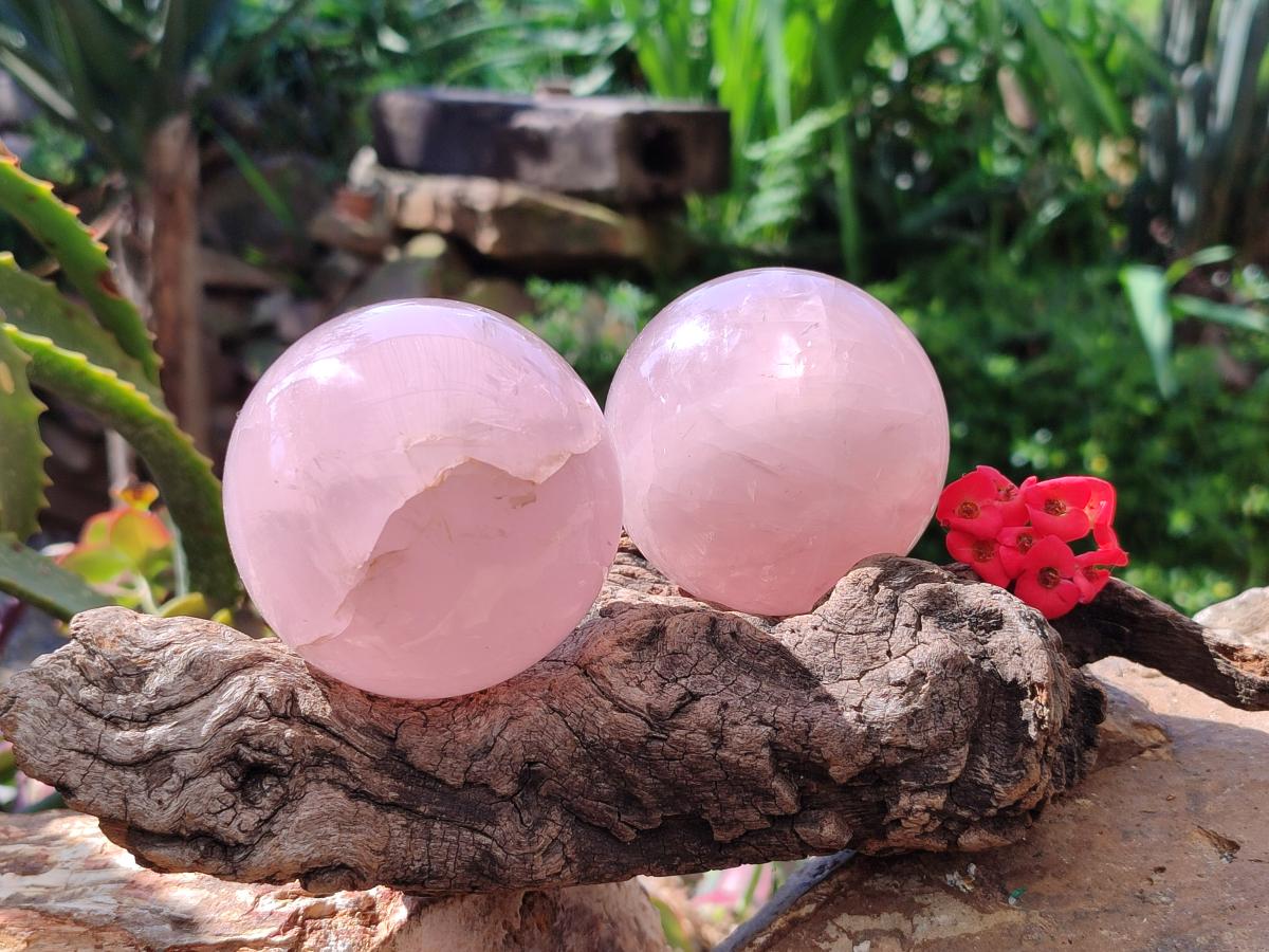 Polished Star Rose Quartz Spheres x 3 From Madagascar