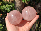 Polished Star Rose Quartz Spheres x 3 From Madagascar